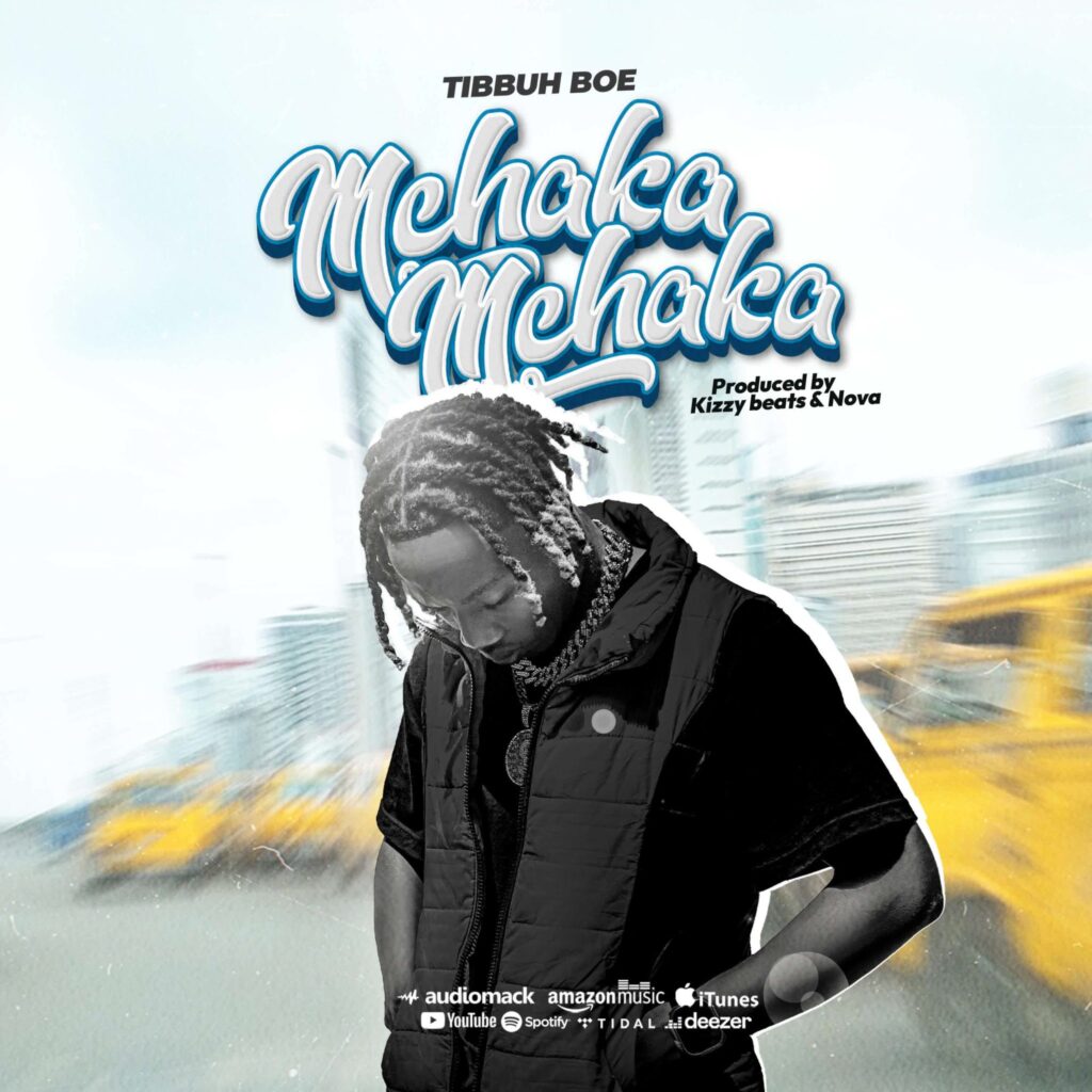 Download Mp3 Tibbuh Boe – Mchakamchaka