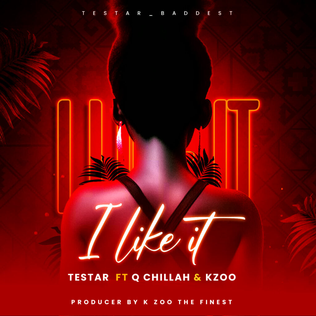 Testa Ft. Qchilla x Kzoo the finest – I like it