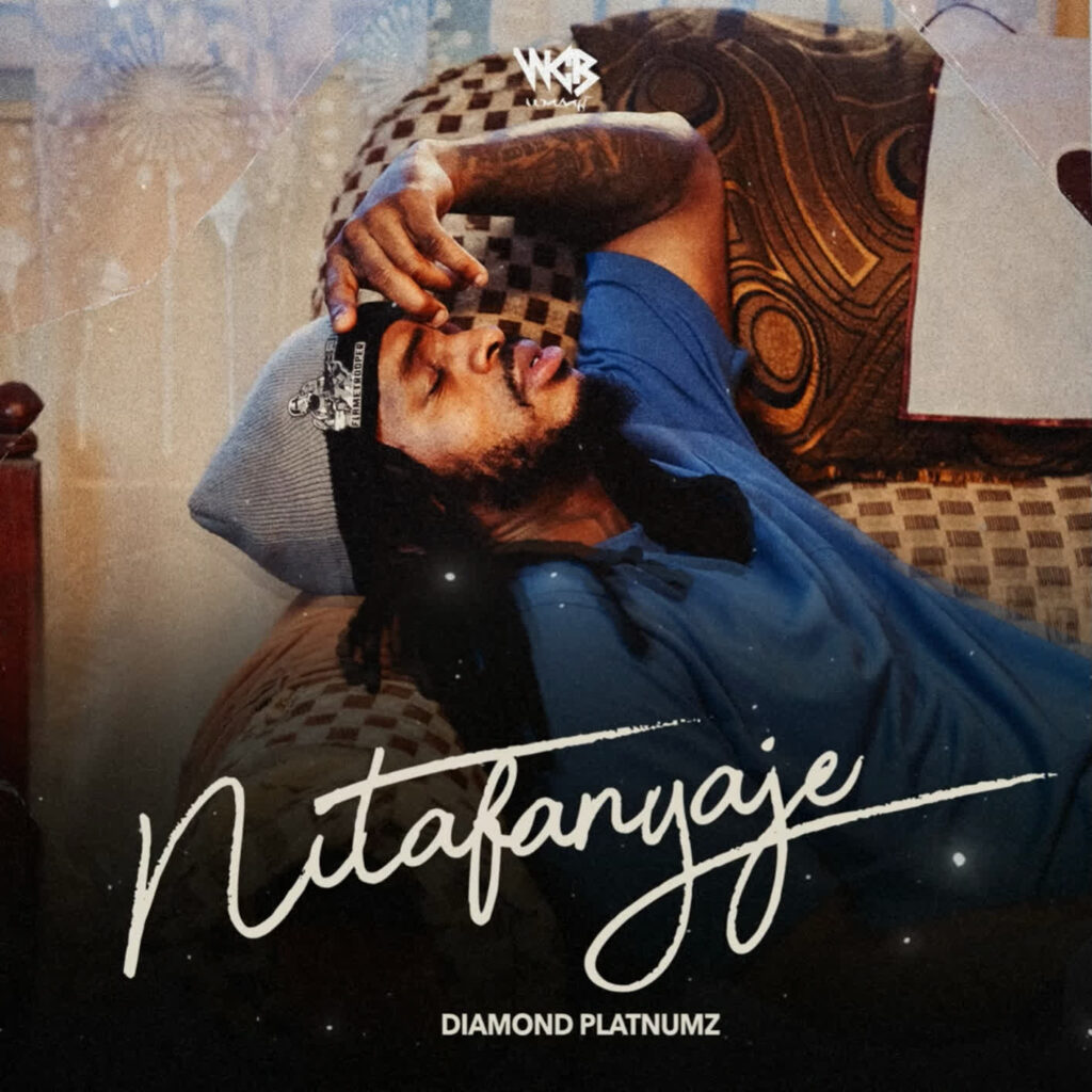 Diamond Platnumz – Nitafanyaje | Download MP3