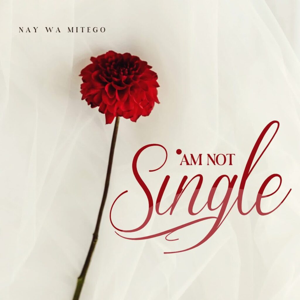 Nay Wa Mitego – Am Not Single | Download MP3