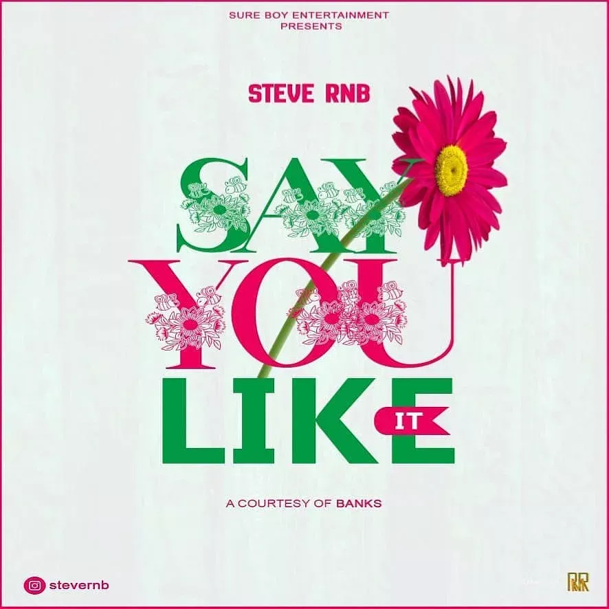 Steve Rnb – Say You Like It | Download MP3